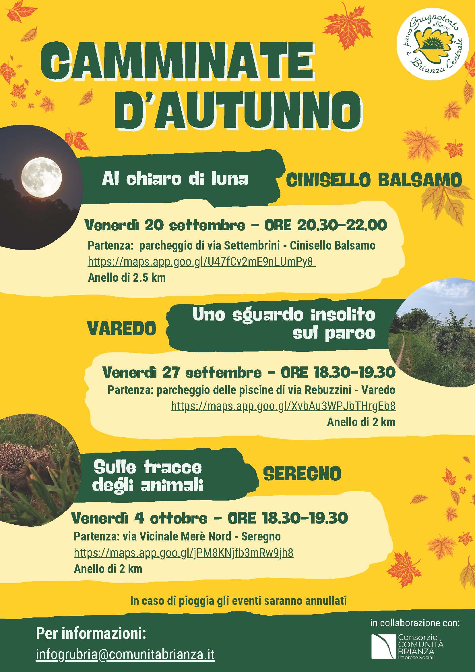 Camminate d'autunno con il parco Grubria