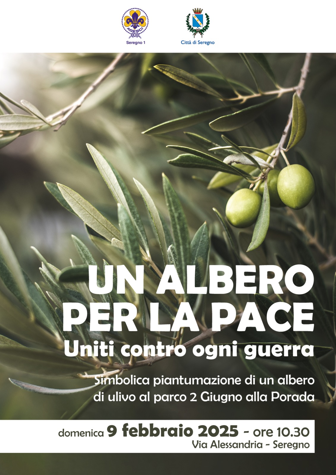 Un albero per la Pace - Uniti contro la guerra