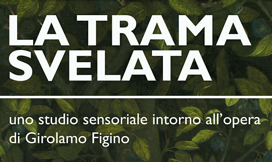 La trama svelata